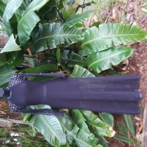 Cache bodycon sheer gown with studs